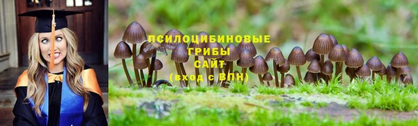 эйфоретик Армянск