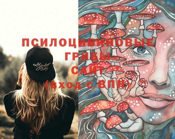 кокс Алексеевка