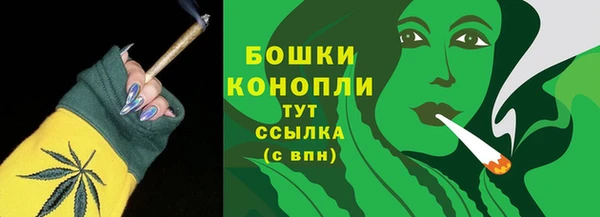соль ск Абаза