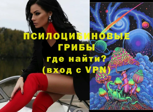 соль ск Абаза