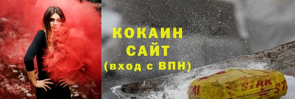 соль ск Абаза