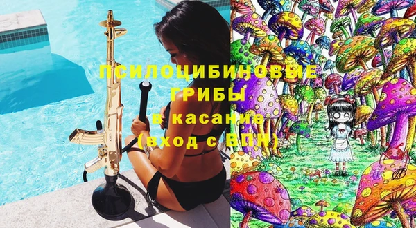 хмурый Алзамай